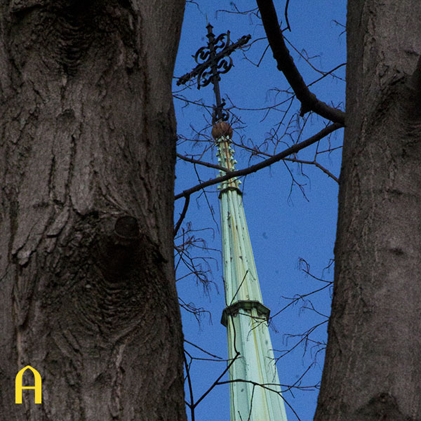 chapel through the trees