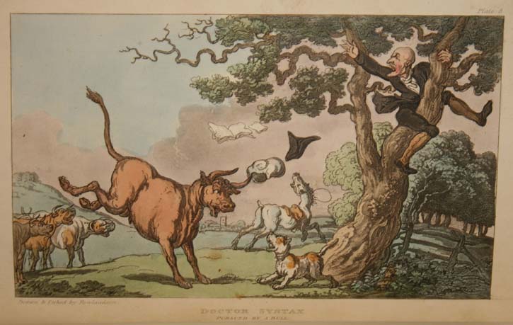 Bull by Rowlandson