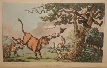 Dr. Syntax attacked by a bull by Rowlandson