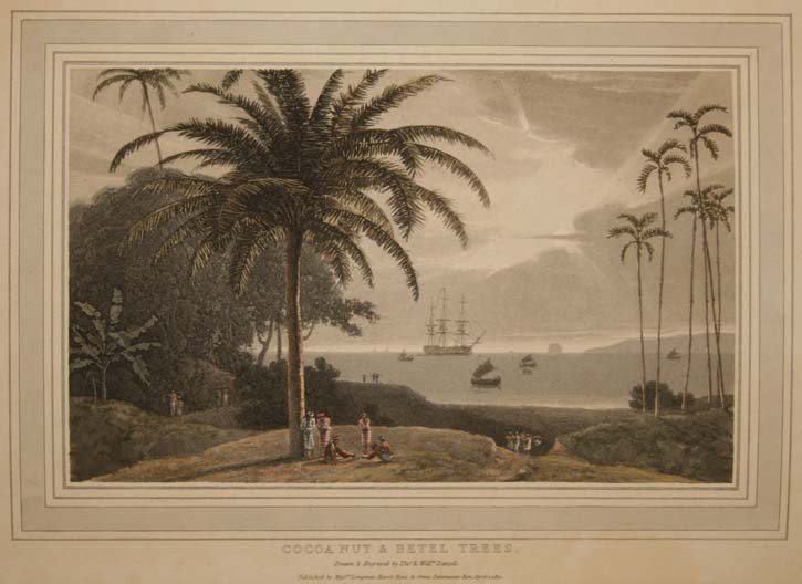 Cocanut Trees by T. and W. Daniell