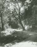 Students on the Slough Path