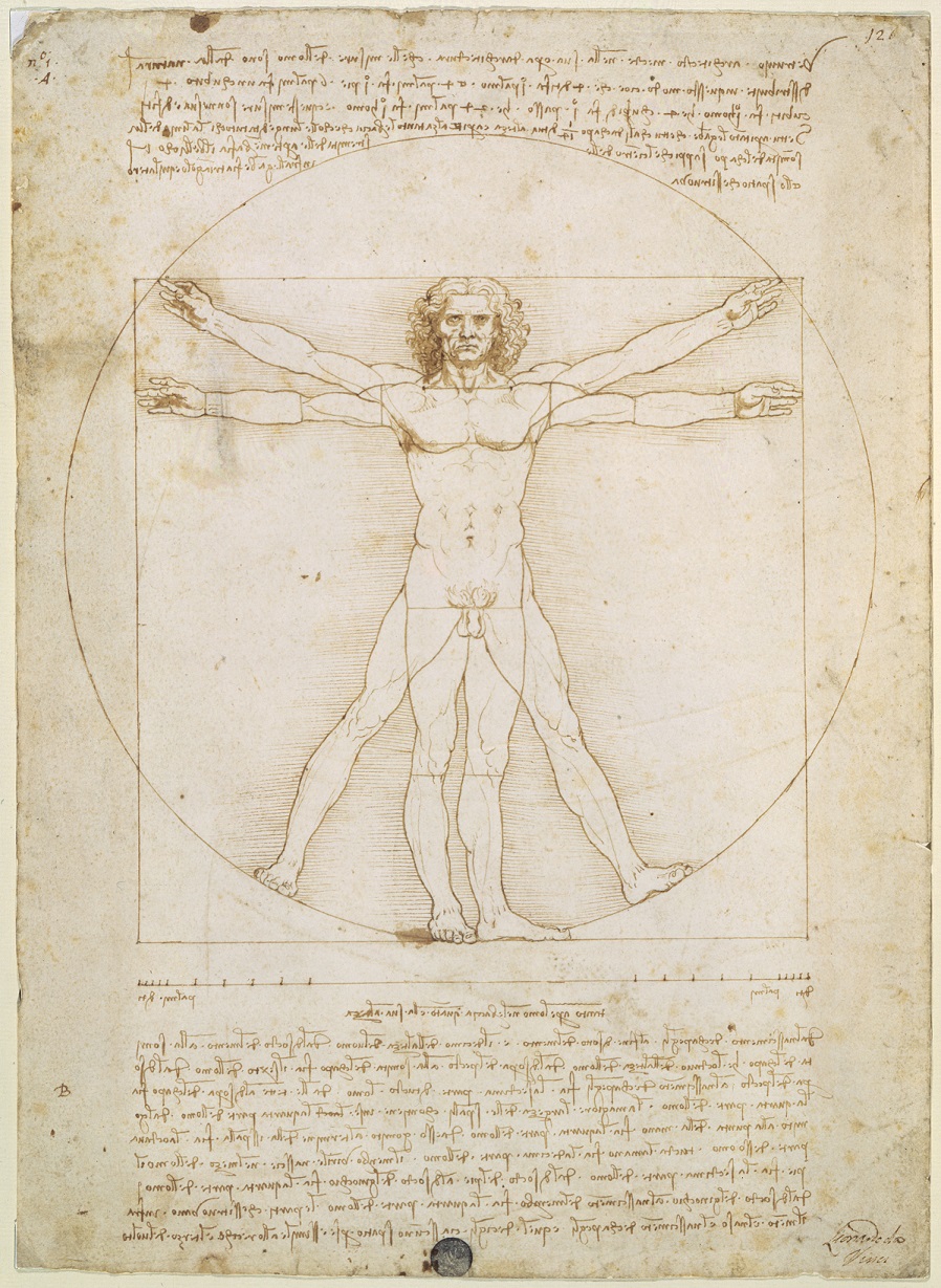 The Vitruvian Man