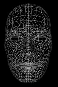 wireframe of woman's head